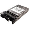 Lenovo - ThinkServer 45J6202 - Hard Disk 500 GB, 3.5'' Hot - Swap SATA II