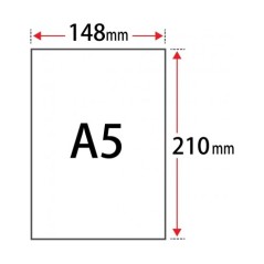 Carta A5 80gr per Ricette Mediche - PaperOne Box 10 Risme