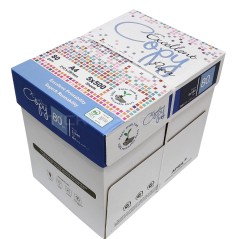 5 pz Excellent Copy Paper carta risma A4 21x29,7 cm, 80gr - 5 x 500 ff